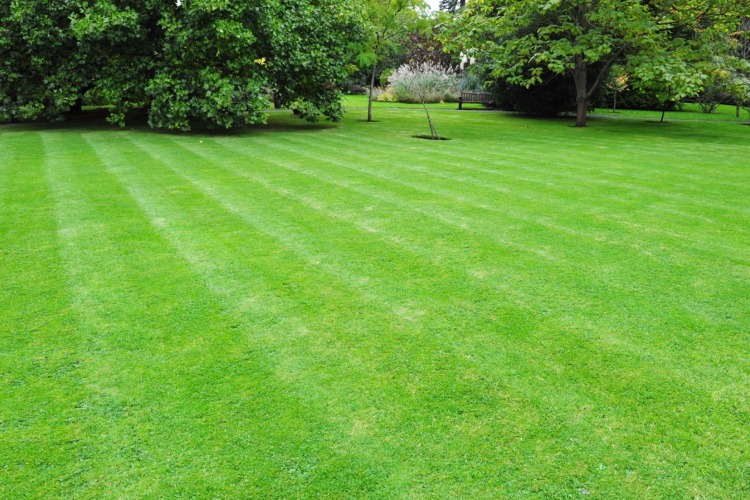 woodbury-landscape-lawn-care