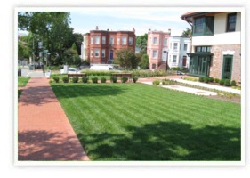 Commercial Landscaping and Property Maintenance Services - Southbury, CT